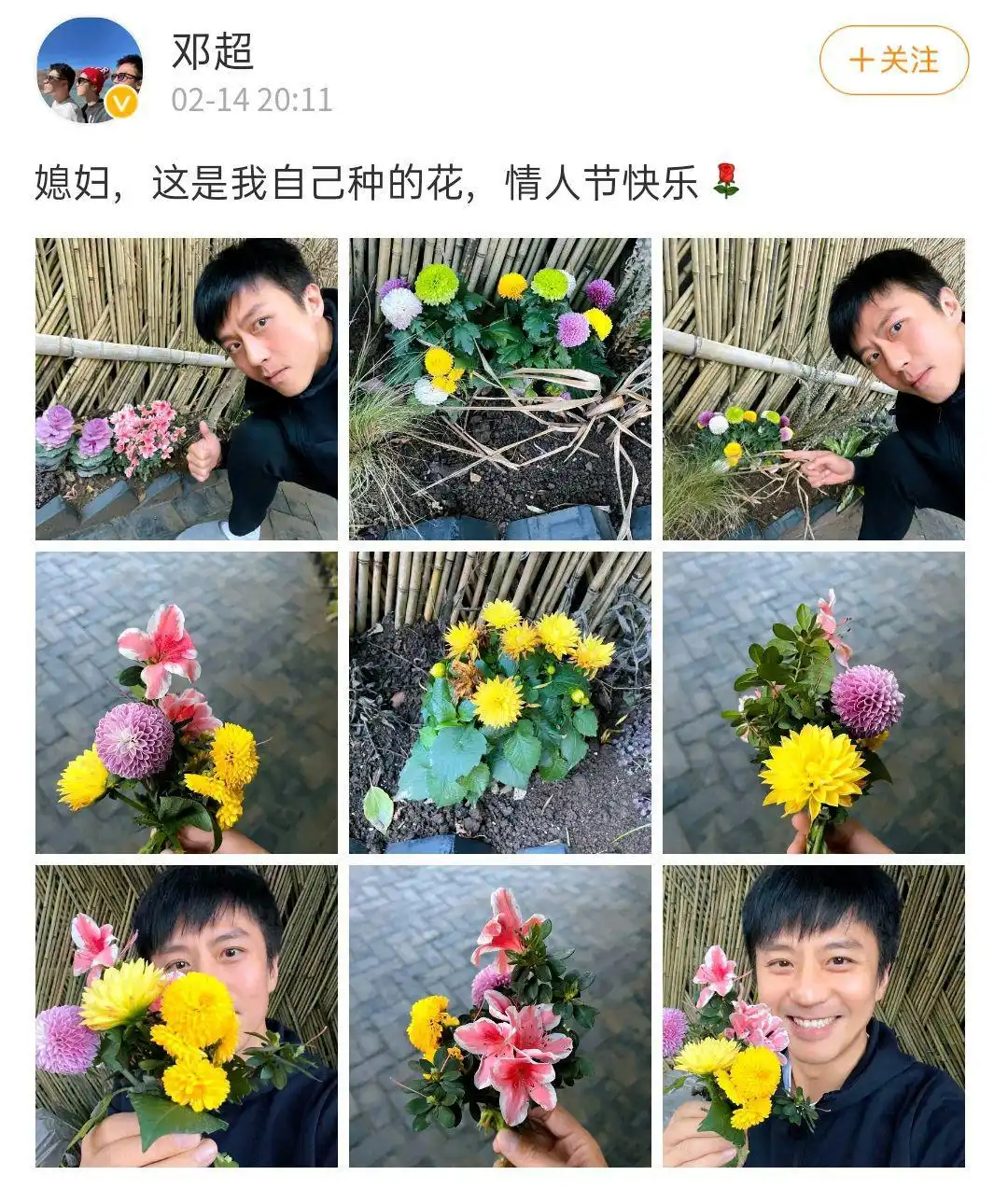 娱乐圈老模范夫妻_娱乐圈模范夫妻_明星幸福家庭