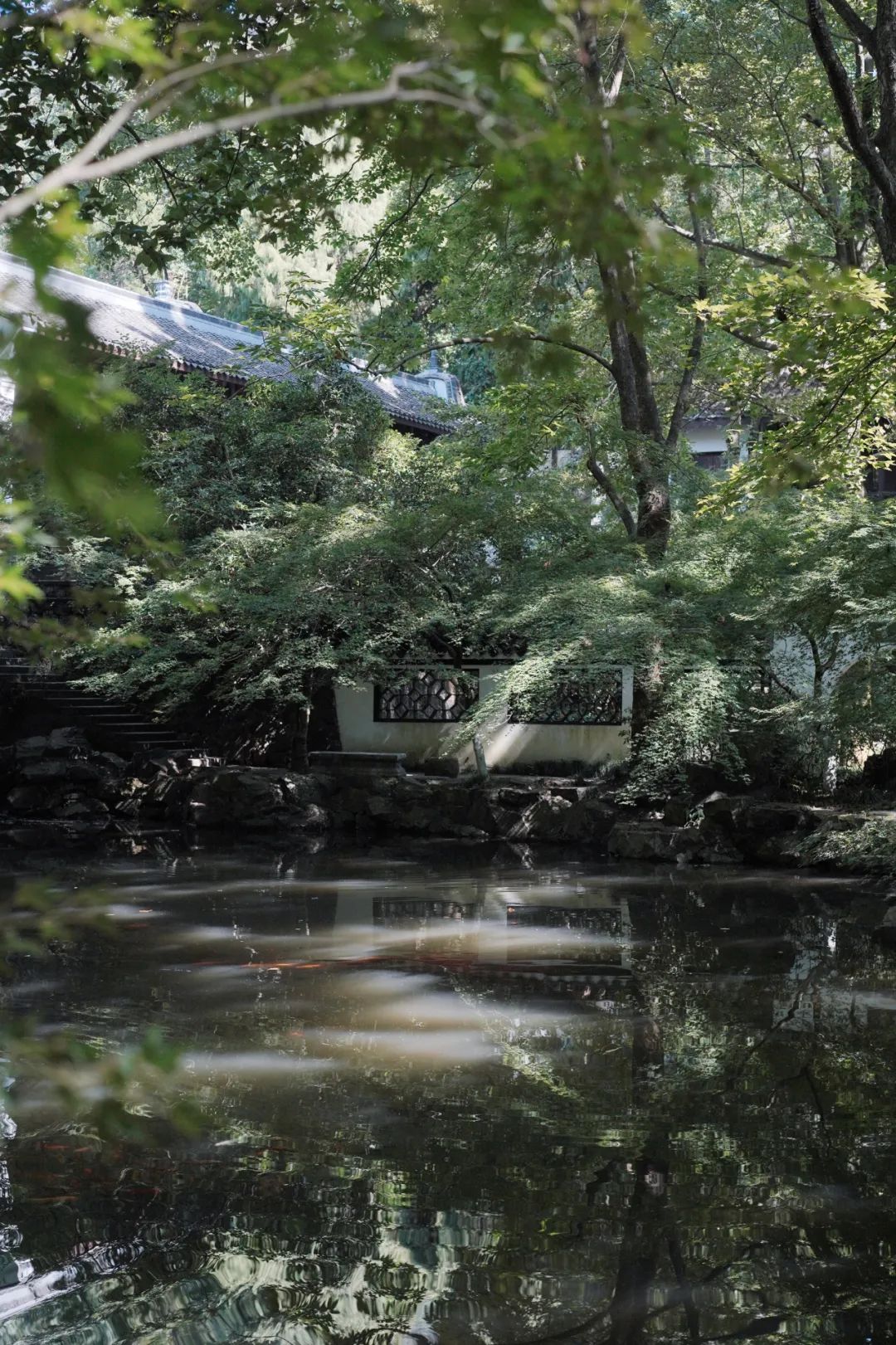 杭州本地人最爱的宝藏小馆，游客绝对不知道