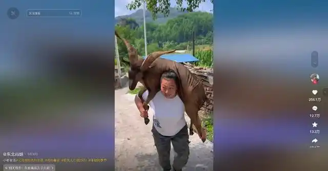 千万网红回村躺平_农村流量真相_女网红回村说八卦是真的吗-